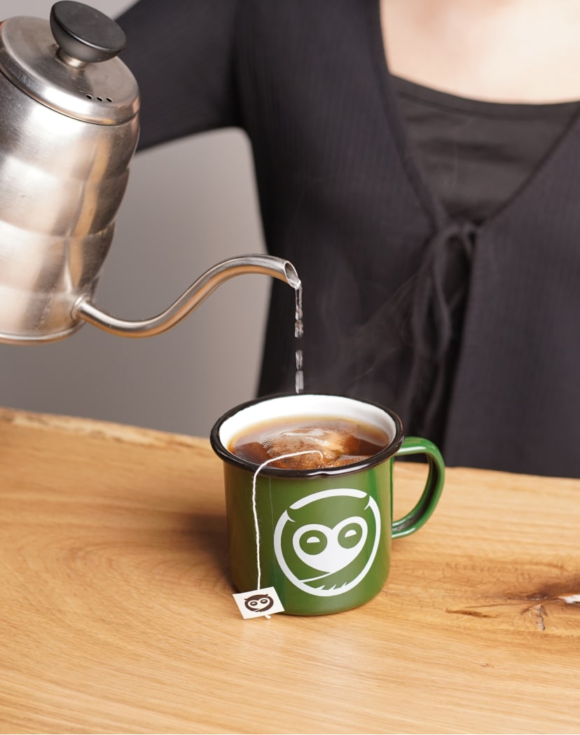Sleepy Owl Enamel Mugs
