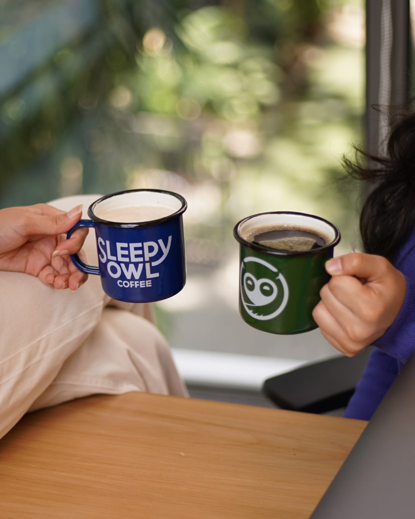 Sleepy Owl Enamel Mugs