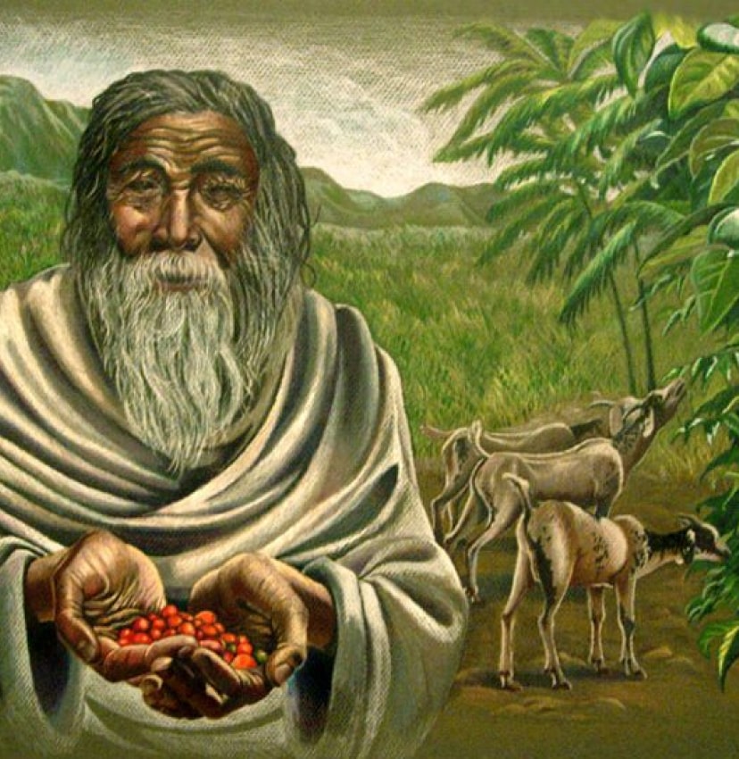 History of coffee