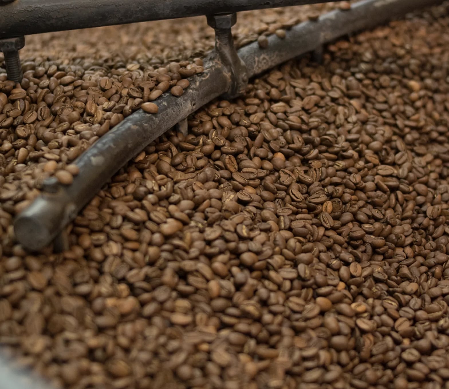 Buy Coffee Beans Online