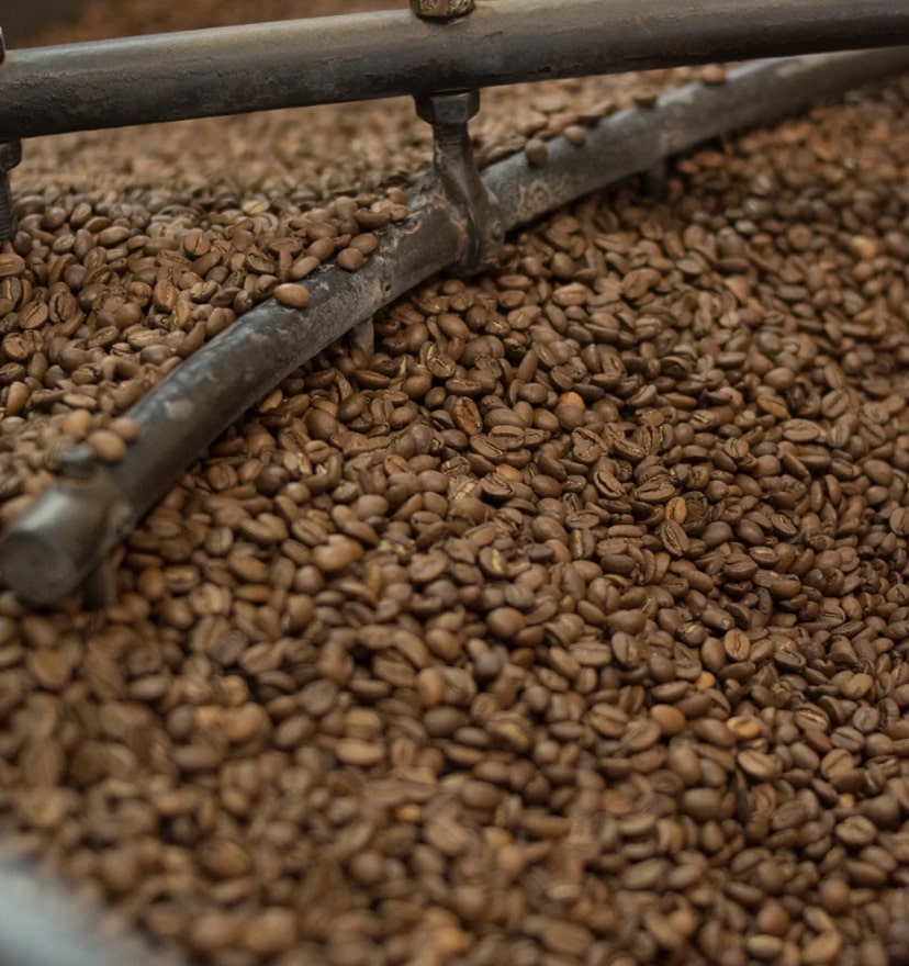 Buy Coffee Beans Online