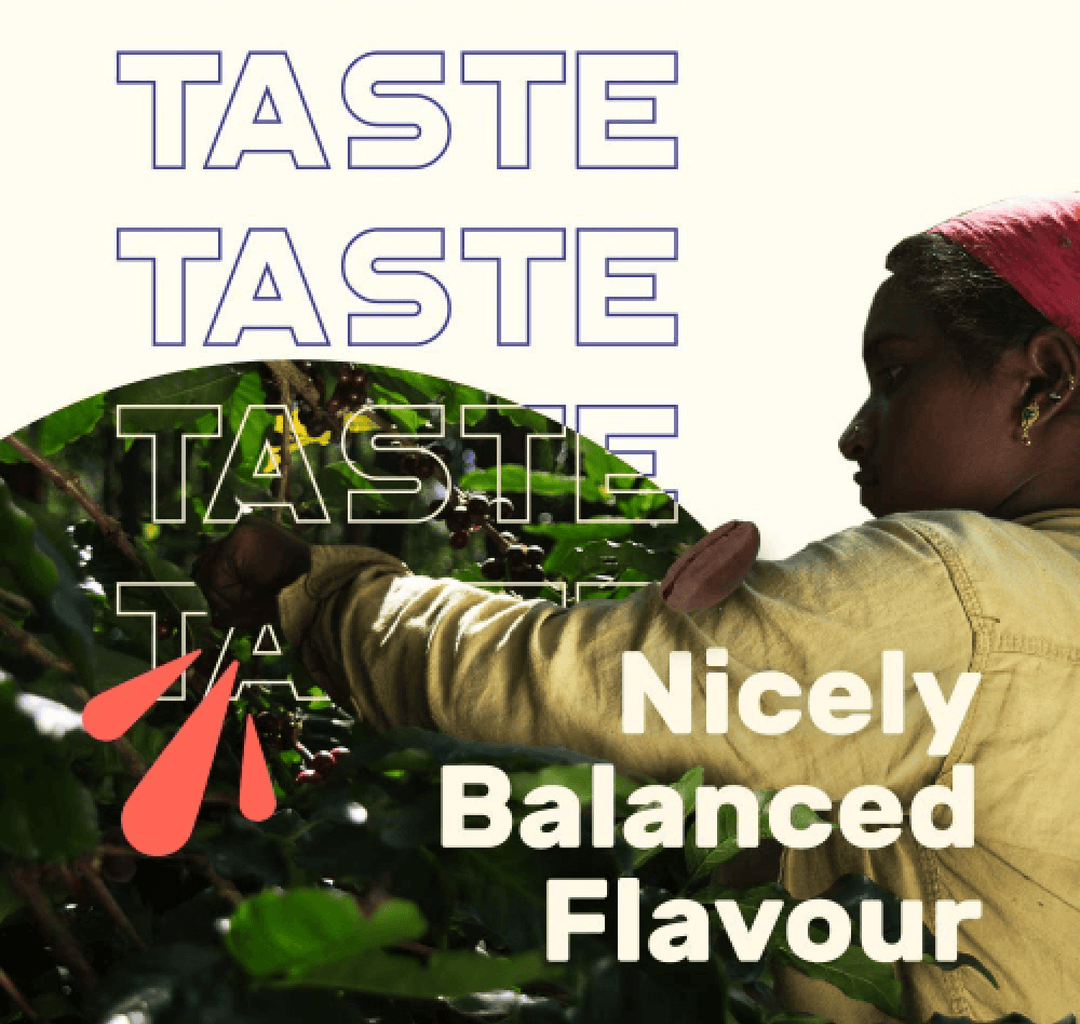 Dark Roast Flavoured Hot Brew Coffee