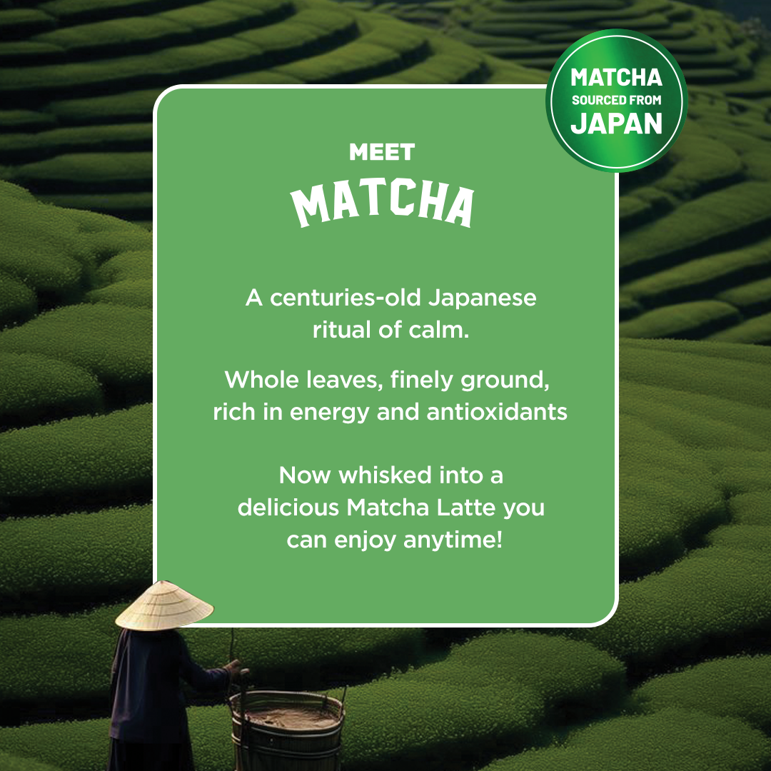 Matcha Latte Premix - Classic