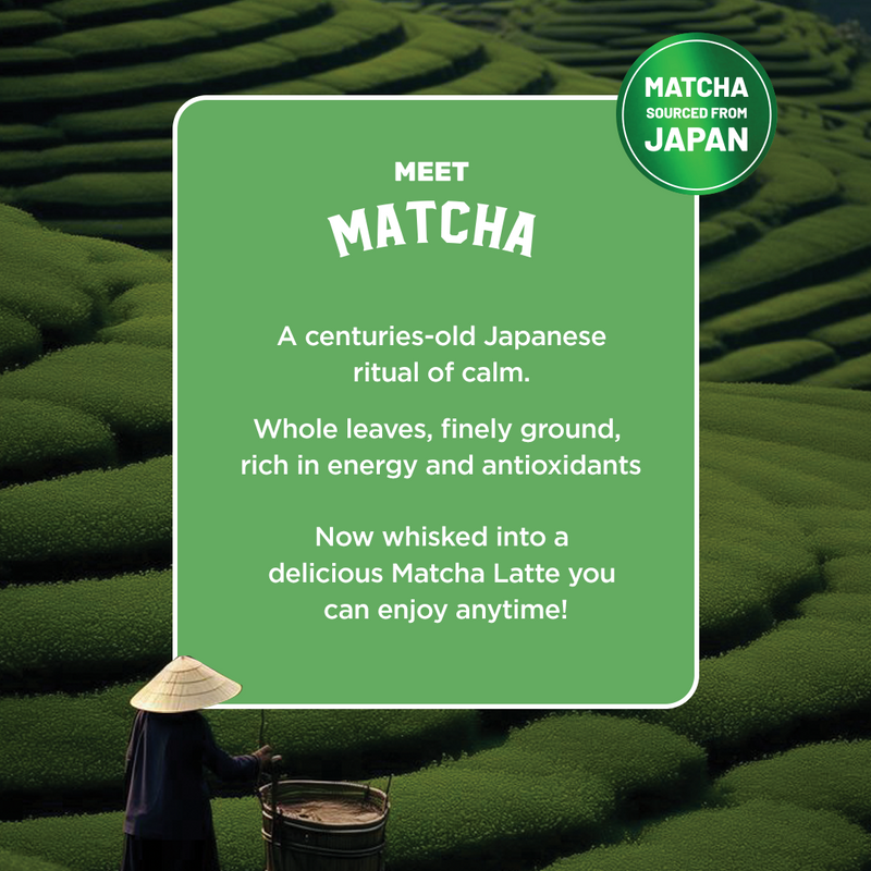 Matcha Latte  - Classic