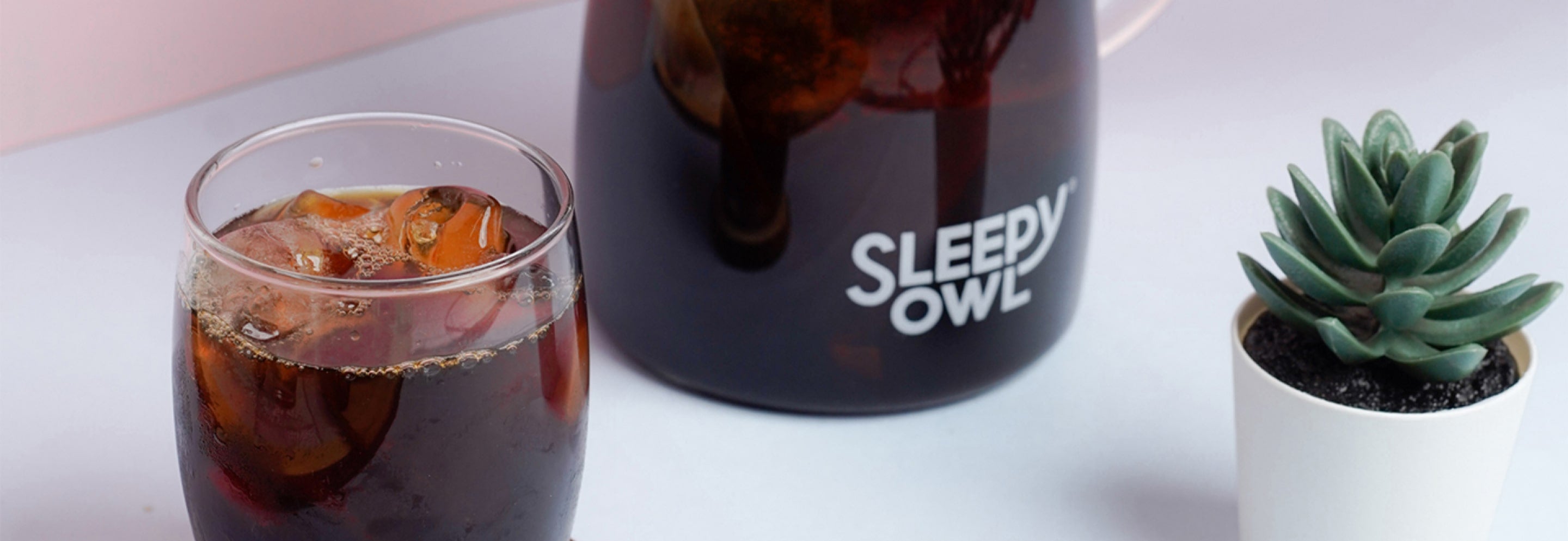 Sleepy Owl-Best Cold Brew Coffee 