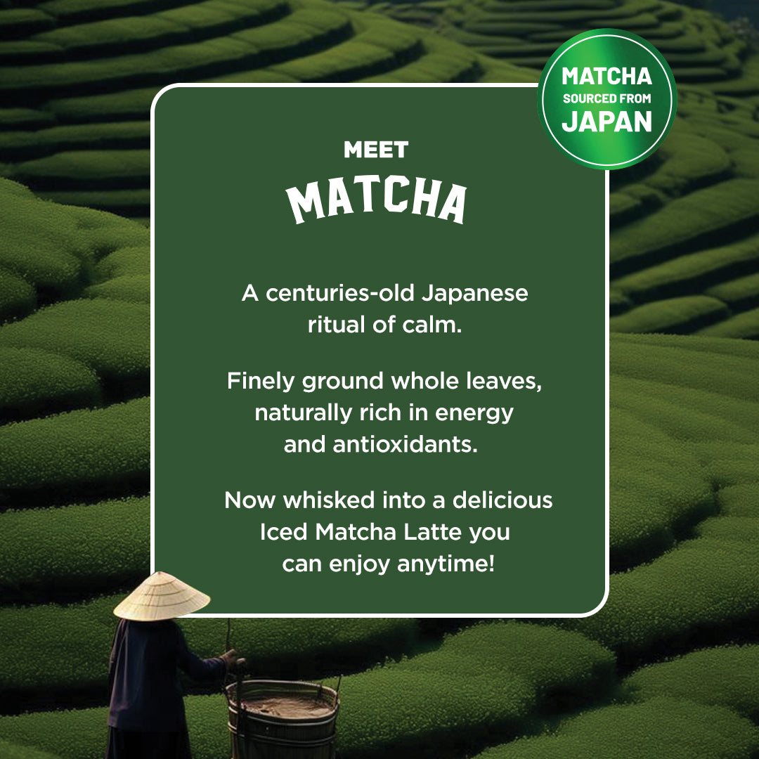 Classic Iced Matcha Premix
