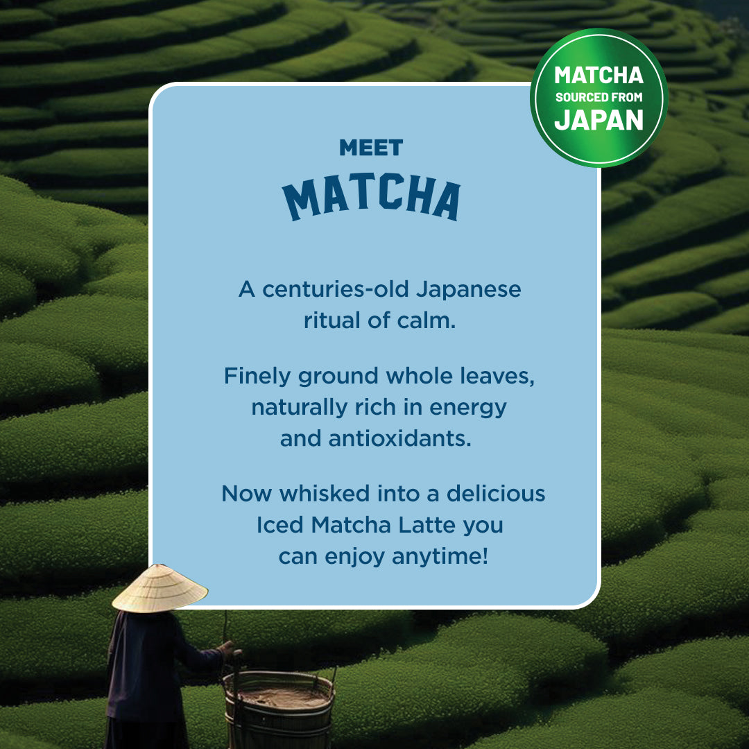 Vanilla Iced Matcha Premix