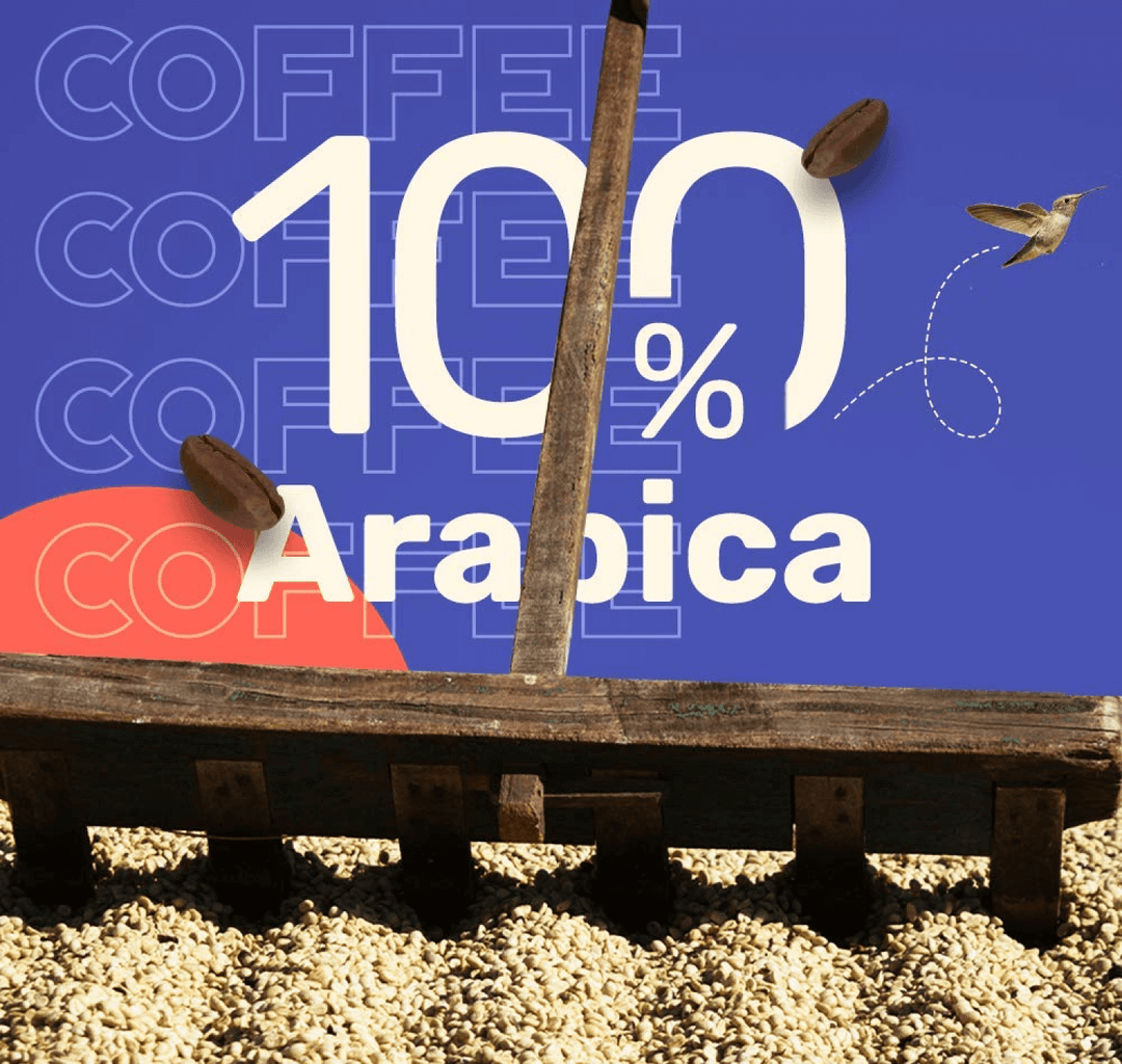 best cold brew coffee packs