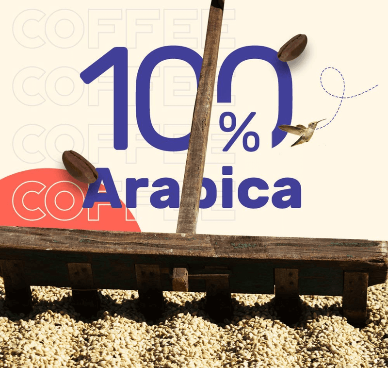 100% Arabica Coffee Beans India