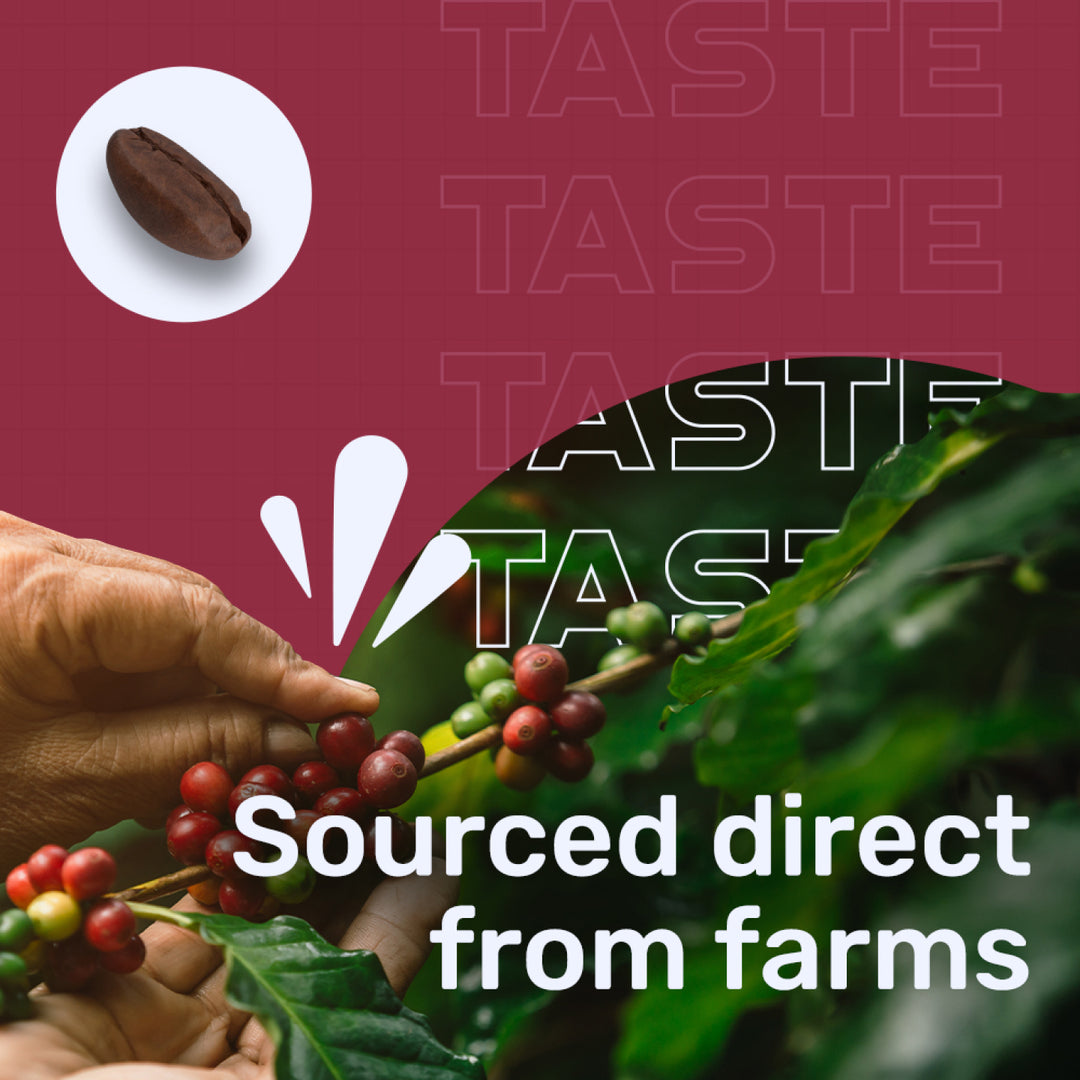 Roasted Fresh Ground Coffee