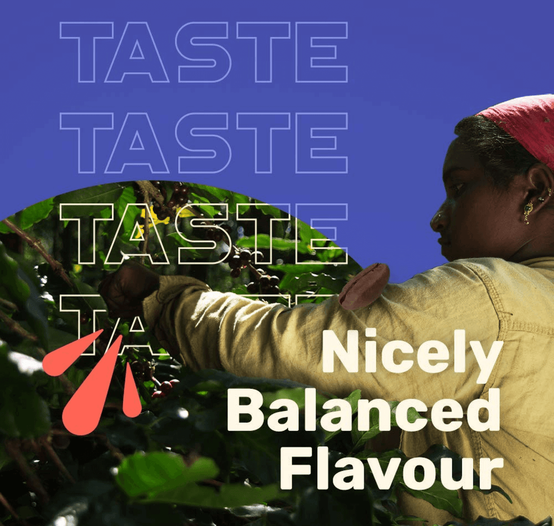 cold brew coffee flavours